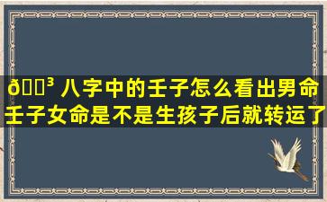 🌳 八字中的壬子怎么看出男命（壬子女命是不是生孩子后就转运了）